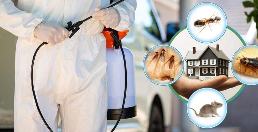 Hasanbeyli Böcek İlaçlama