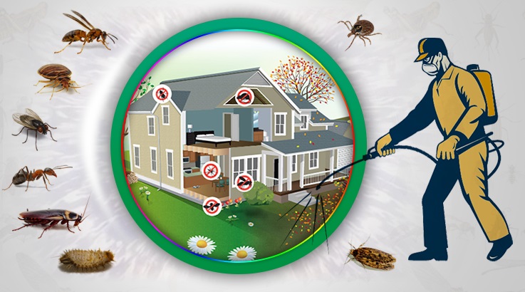 Hasanbeyli Böcek İlaçlama