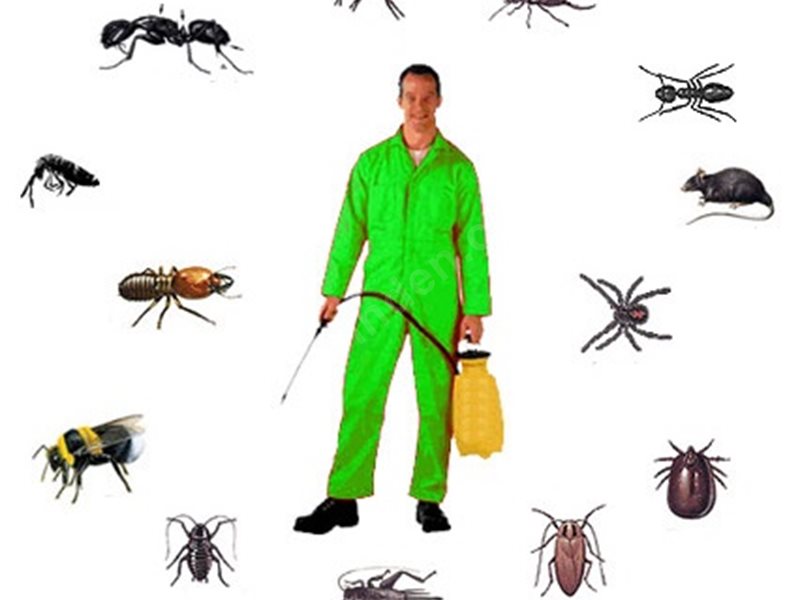 Hasanbeyli Böcek İlaçlama